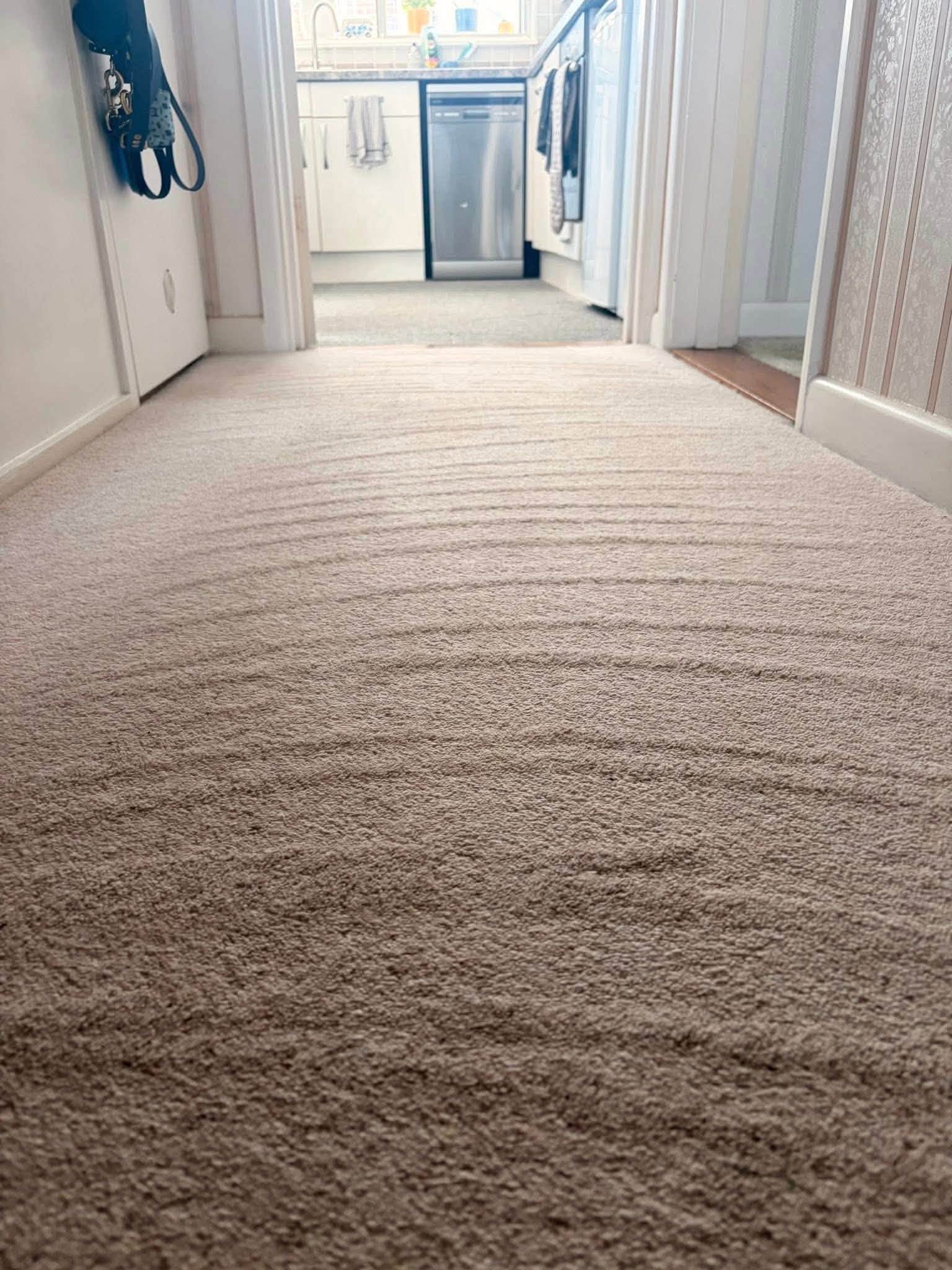 A cleaned rug on a floor
