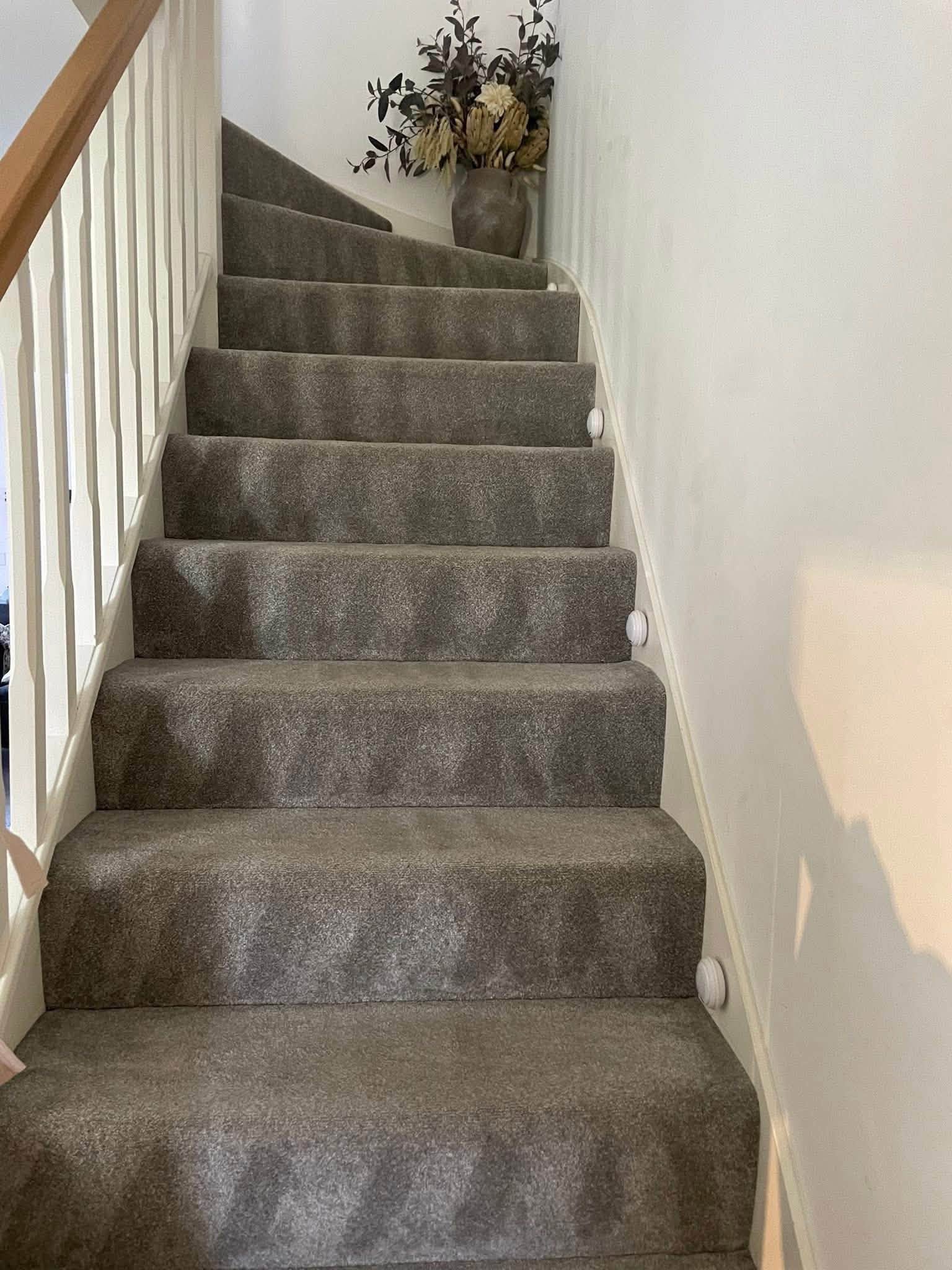 Freshly cleaned carpeted stairs